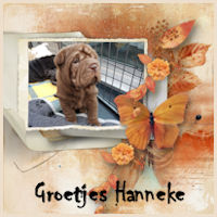 hanneke